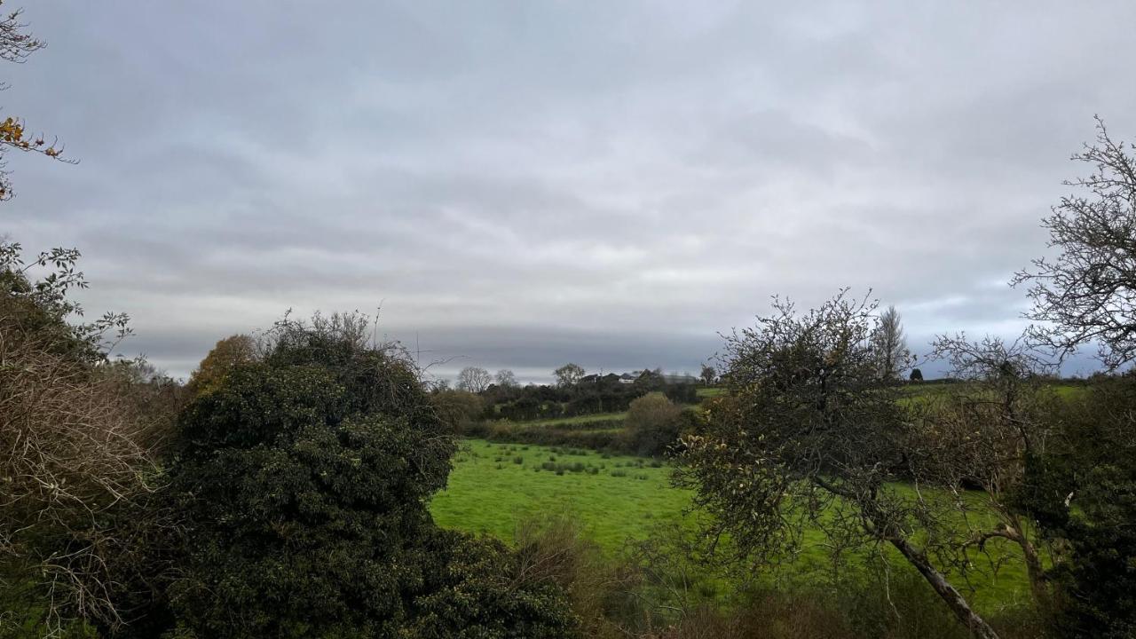 Lisnevenagh Cottage Ballymena Luaran gambar